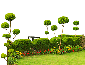 LUSH GREEN LANDSCAPED GARDEN