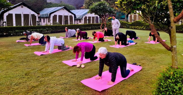 Yoga at Camp Brook