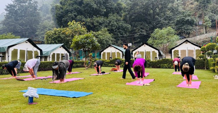 Yoga at Camp Brook